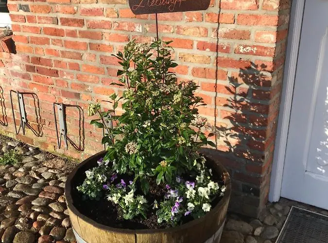 Lieblingsplatz Appartement Wrixum